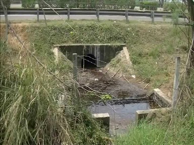 Pembuangan Limbah Yang Mencemari Lingkungan Di Jalur Tol Tangerang-Merak Kecamatan Jombang, Kota Cilegon 2