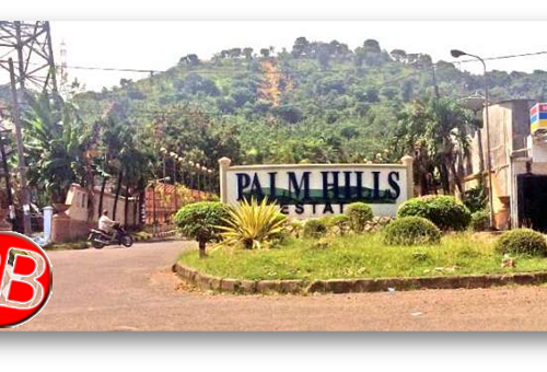 Palm hills.jpg