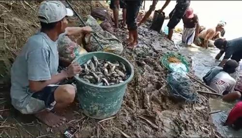 serang-geger-ribuan-ikan-di-kali-ciujung-mabuk-tanpa-sebab-DHJ2O3sagL