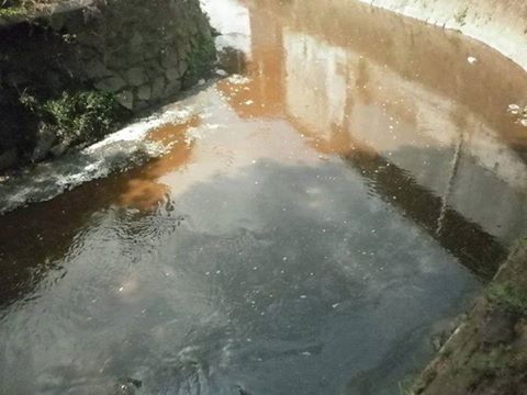 PT SUJ Diduga Buang Limbah Di Sembarang Tempat 1 Limbah yang tercampur air kali