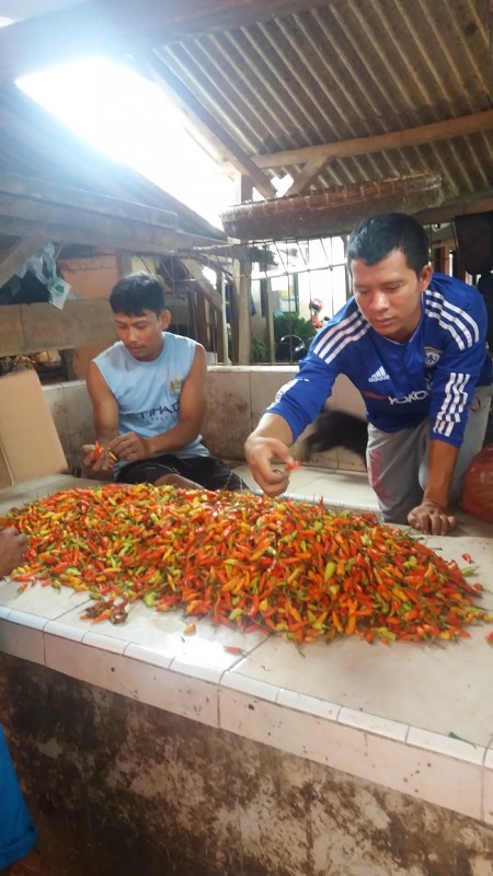 Salah Seorang Pedagang Sedang Merapihkan Dagangannya Di Pasar Kranggot, Kota Cilegon. (Foto, BidikBanten)