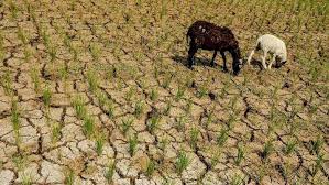 SAVE_20190801_084348