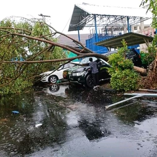 Hujan Angin Puting beliung Tumbangkan Pepohonan Menimpa Mobil hingga Ringsek 4 FB_IMG_15736475754479252