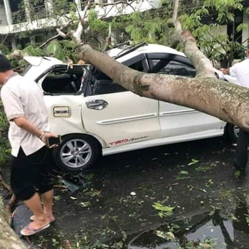 Hujan Angin Puting beliung Tumbangkan Pepohonan Menimpa Mobil hingga Ringsek 3 FB_IMG_15736475967884096