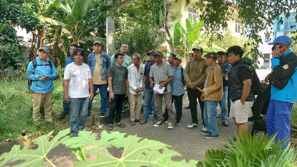 pekerja di kapal feri mengadu belum digaji m iqbaldetikcom 169