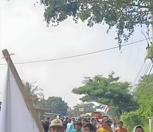 warga Kramatwatu, kantor Perhutani, aksi protes Gunung Pinang, reboisasi pohon jati, penolakan wisata