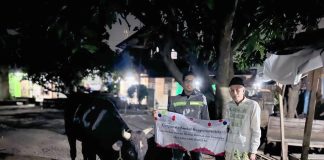 Penyerahan bantuan sapi kurban dan beras dari PT LCI kepada warga Gerem Raya