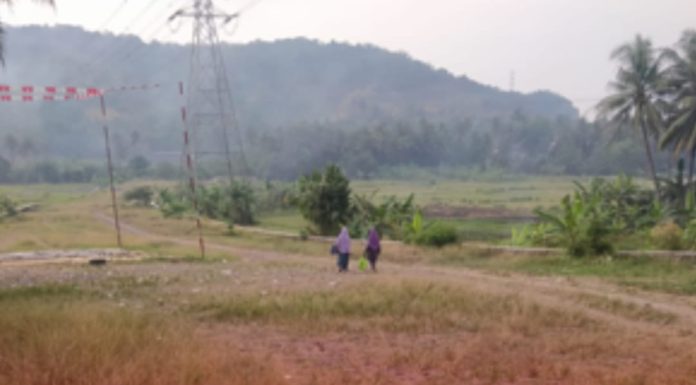 IMG 20251010 WA0043