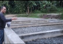 IMG 20251017 000424