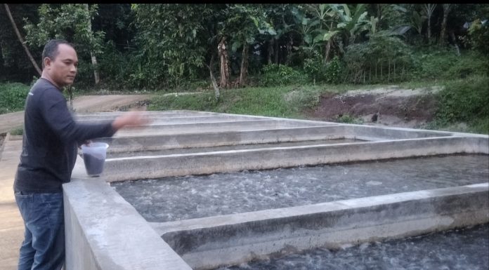 IMG 20251017 000424