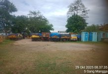 Belasan Truk Berisi Sampah DLH Serang Mangkrak Hampir Sebulan, Kepala Dinas Pilih Bungkam IMG 20251102 WA0015