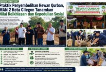 Praktik Penyembelihan Hewan Qurban, MAN 2 Kota Cilegon Tanamkan Nilai Keikhlasan dan Kepedulian Sosial