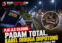 PJU JLS Cilegon Mati Total, Kabel Diduga Dipotong, Kadishub Ungkap Kekesalan di Status WA